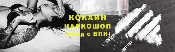 трава Болотное