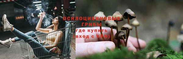 трава Болотное