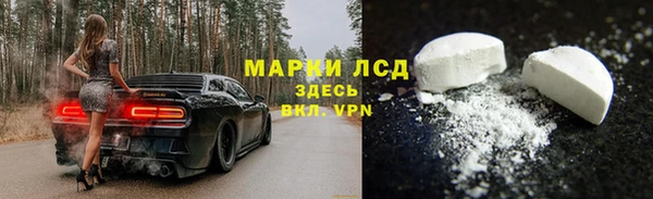 трава Болотное